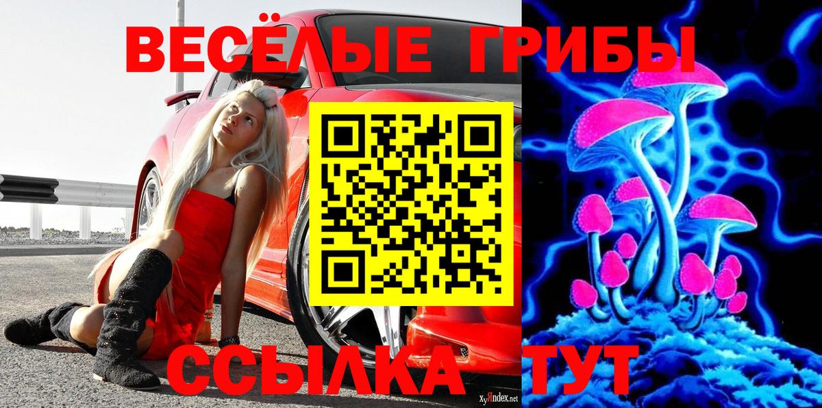 Галлюциногенные грибы Magic Shrooms  Вход с VPN  Тара 