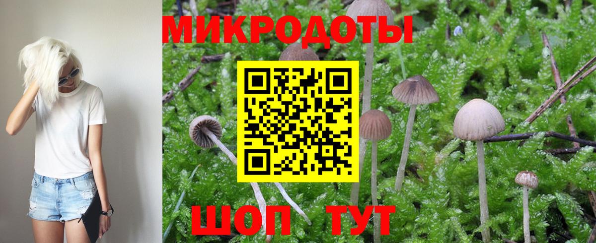 Галлюциногенные грибы GOLDEN TEACHER Тара